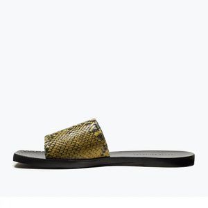 $260 FREDA SALVADOR JESSA EMBOSSED LEATHER SLIDE SANDAL LIME SNAKE 38 (D7)